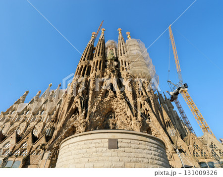 スペイン　バルセロナ　サグラダ・ファミリア　生誕のファサード　5月の早朝 131009326