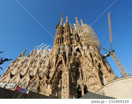 スペイン　バルセロナ　サグラダ・ファミリア　生誕のファサード　5月の早朝 131009329
