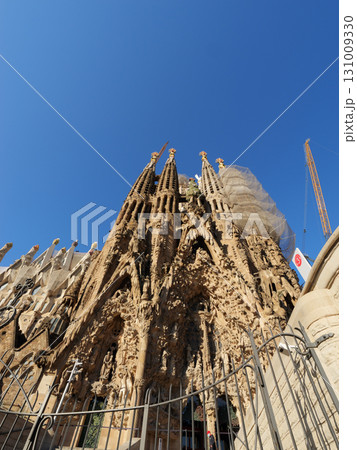 スペイン　バルセロナ　サグラダ・ファミリア　生誕のファサード　5月の早朝 131009330