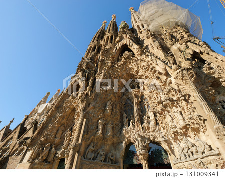 スペイン　バルセロナ　サグラダ・ファミリア　生誕のファサード　5月の早朝 131009341