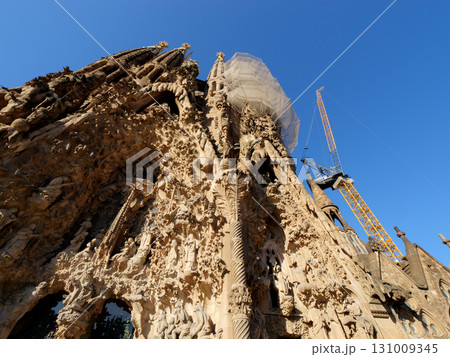 スペイン　バルセロナ　サグラダ・ファミリア　生誕のファサード　5月の早朝 131009345