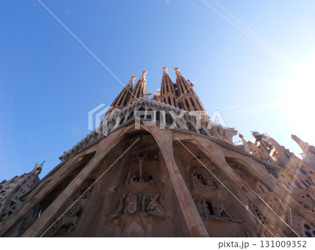 スペイン　バルセロナ　サグラダ・ファミリア　受難のファサード　5月の早朝 131009352