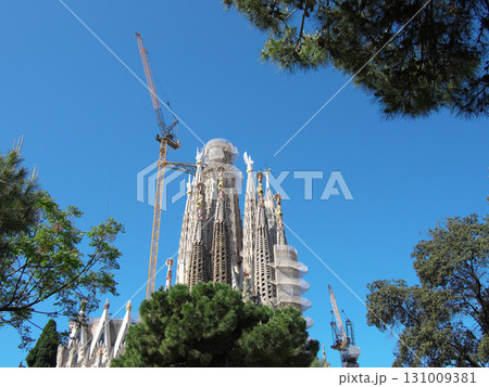 スペイン　バルセロナ　サグラダ・ファミリア　生誕のファサード　5月の早朝 131009381