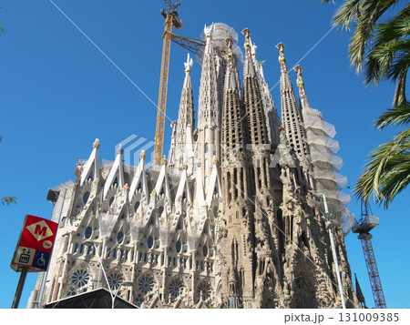 スペイン　バルセロナ　サグラダ・ファミリア　生誕のファサード　5月の早朝 131009385