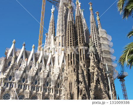 スペイン バルセロナ サグラダ・ファミリア 生誕のファサード 5月の早朝 スペイン バルセロナ サグラダ・ファミリア 生誕のファサード 5月の早朝 131009386