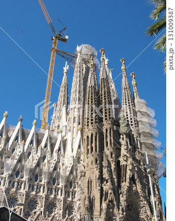 スペイン　バルセロナ　サグラダ・ファミリア　生誕のファサード　5月の早朝 131009387