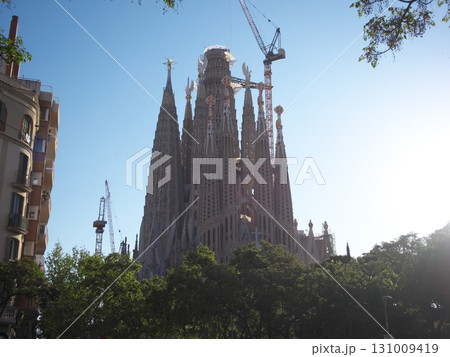 スペイン　バルセロナ　サグラダ・ファミリア　5月の早朝 131009419
