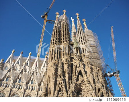 スペイン　バルセロナ　サグラダ・ファミリア　生誕のファサード　5月の早朝 131009426