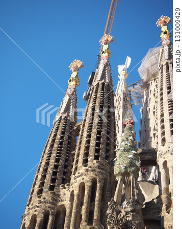 スペイン　バルセロナ　サグラダ・ファミリア　生誕のファサード　5月の早朝 131009429