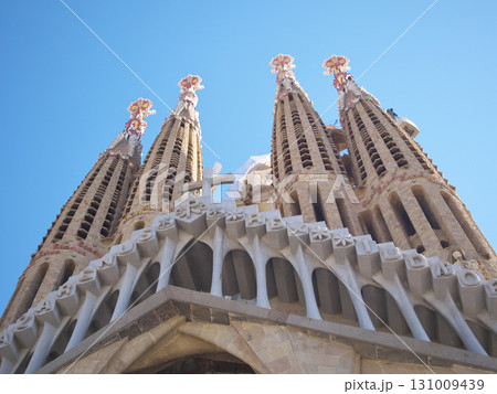 スペイン　バルセロナ　サグラダ・ファミリア　受難のファサード　5月の早朝 131009439
