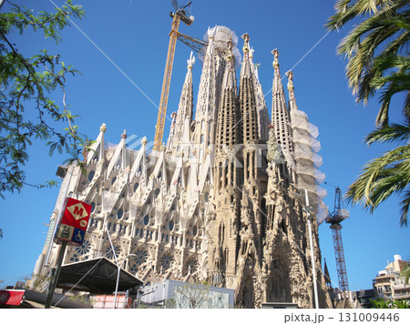 スペイン　バルセロナ　サグラダ・ファミリア　生誕のファサード　5月の早朝 131009446