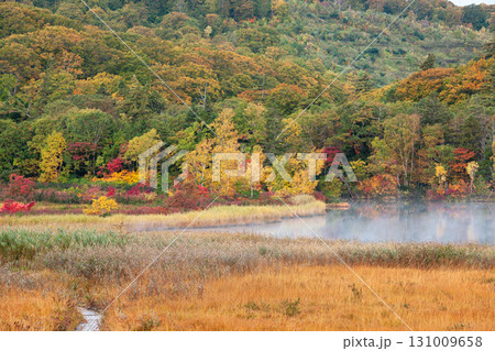 朝霧立ち込める静かな朝 秋の八幡平大沼 秋田県 朝霧立ち込める静かな朝 秋の八幡平大沼 秋田県 131009658