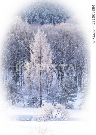 放射冷却で里山に降りたキラキラ霜(恩原高原周辺) 放射冷却で里山に降りたキラキラ霜(恩原高原周辺) 131009894