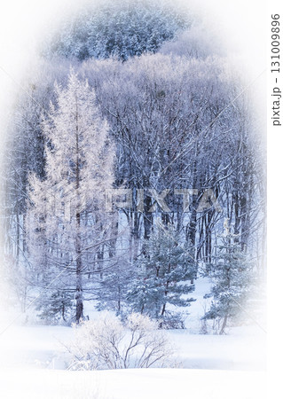 放射冷却で里山に降りたキラキラ霜(恩原高原周辺) 放射冷却で里山に降りたキラキラ霜(恩原高原周辺) 131009896