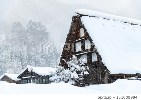 白川郷の雪景色 白川郷の雪景色 131009994
