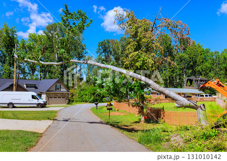 Fallen tree on quiet street during work day in residential neighborhood 131010142