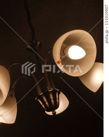 Moth resting on a lighted chandelier in prague home Moth resting on a lighted chandelier in prague home 131010907