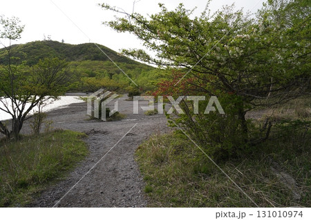 群馬県赤城山　小沼の一周遊歩道　小沼の北側付近　2025年6月1日 131010974
