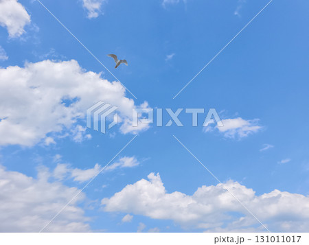 Seagull flying in blue sky with white clouds in lignano sabbiadoro 131011017