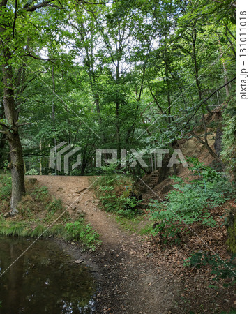 Hiking trail entering lush green forest near castle mnisek pod brdy 131011018