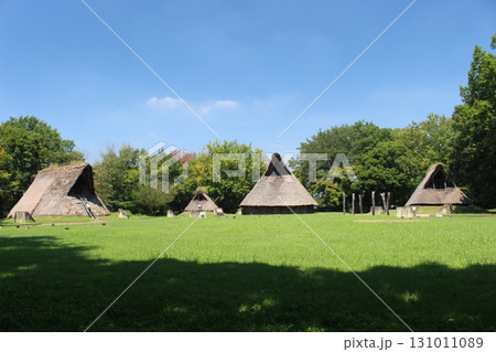 うつのみや遺跡の広場 131011089