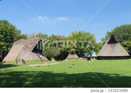 うつのみや遺跡の広場 131011090