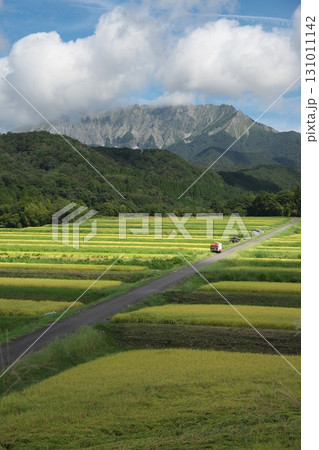 鳥取県の秋の伯耆大山と麓に広がる稲の棚田 131011142