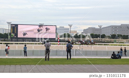 大井競馬場で競馬を観戦するさまざまな人々の姿 131011178