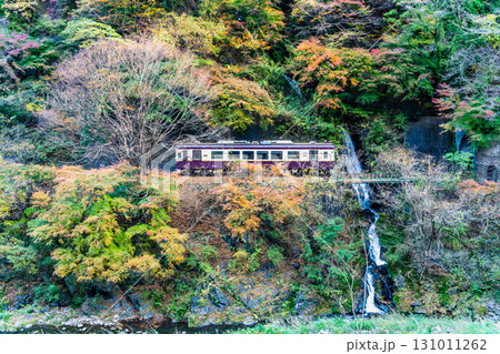 わたらせ渓谷鐵道 紅葉の中を走る列車(小中-神戸) わたらせ渓谷鐵道 紅葉の中を走る列車(小中-神戸) 131011262
