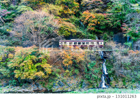 わたらせ渓谷鐵道 紅葉の中を走る列車(小中-神戸) わたらせ渓谷鐵道 紅葉の中を走る列車(小中-神戸) 131011263