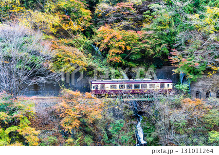 わたらせ渓谷鐵道　紅葉の中を走る列車（小中-神戸） 131011264