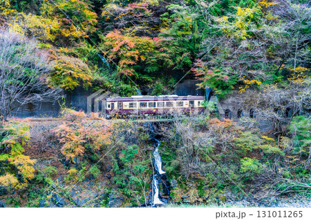 わたらせ渓谷鐵道　紅葉の中を走る列車（小中-神戸） 131011265