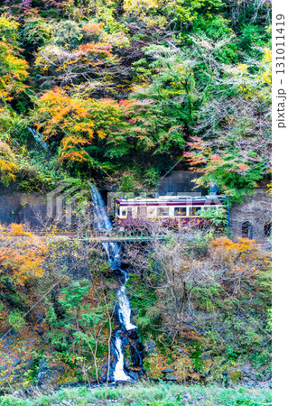 わたらせ渓谷鐵道 紅葉の中を走る列車(小中-神戸) わたらせ渓谷鐵道 紅葉の中を走る列車(小中-神戸) 131011419