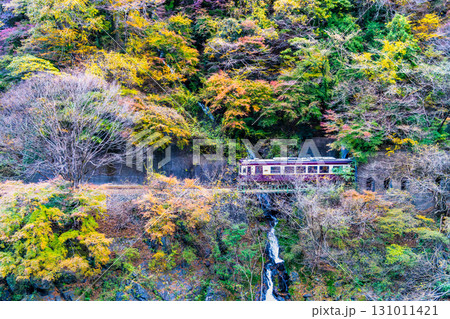 わたらせ渓谷鐵道 紅葉の中を走る列車(小中-神戸) わたらせ渓谷鐵道 紅葉の中を走る列車(小中-神戸) 131011421