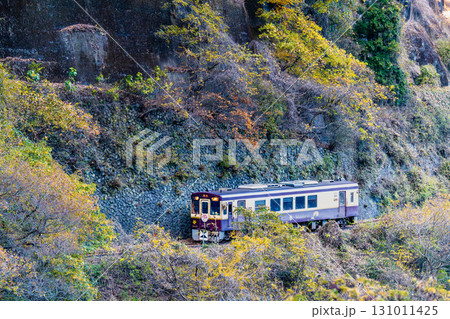 わたらせ渓谷鐵道　紅葉の中を走る列車（小中-神戸） 131011425