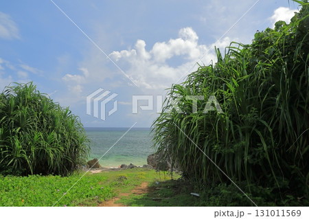 鳩間島外若浜のビーチへの入口の南の島らしい風景 131011569