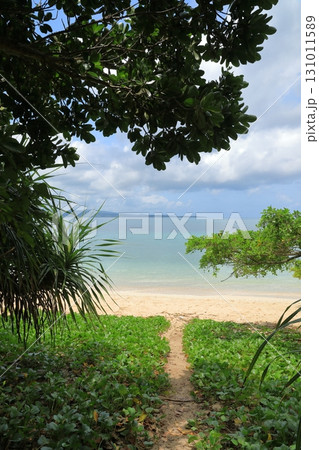 鳩間島屋良浜のビーチへの入口の南の島らしい風景 鳩間島屋良浜のビーチへの入口の南の島らしい風景 131011589