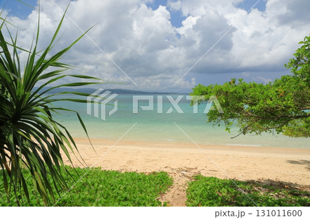 トロピカルな雰囲気の鳩間島屋良浜のビーチの絶景 トロピカルな雰囲気の鳩間島屋良浜のビーチの絶景 131011600