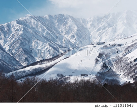 冬の岩岳山頂テラスから白馬八方尾根と白馬連邦を望む 131011645