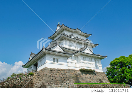 神奈川県　小田原城　天守閣 131011751