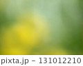 春の優しいイメージのボケ素材 131012210