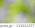 緑の紫のイメージ素材 131012257