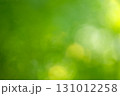 玉ボケをイメージした緑の背景素材 131012258