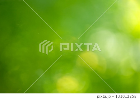 玉ボケをイメージした緑の背景素材 玉ボケをイメージした緑の背景素材 131012258