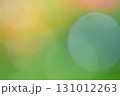 玉ボケをイメージした緑の背景素材 131012263