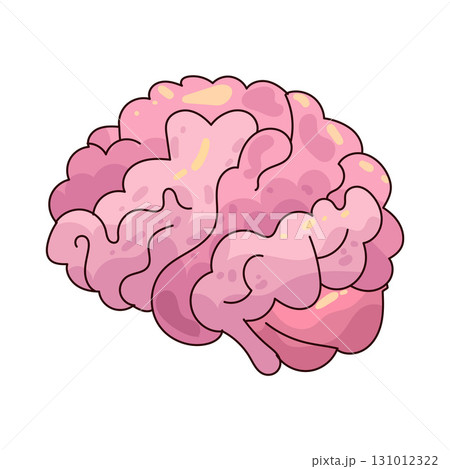 illustration of Brain illustration of Brain 131012322