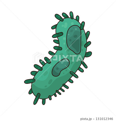 illustration of Bacteria 131012346
