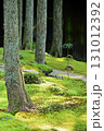 苔と木々 131012392
