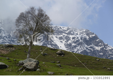 Sonamarg is the golden meadow of Kashmir at an altitude of 2,740 meters above sea level. It is a land of natural beauty with pine forests, meadows and pristine white glaciers. 131012891
