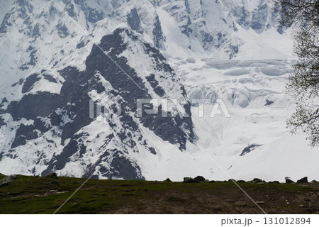 Sonamarg is the golden meadow of Kashmir at an altitude of 2,740 meters above sea level. It is a land of natural beauty with pine forests, meadows and pristine white glaciers. 131012894